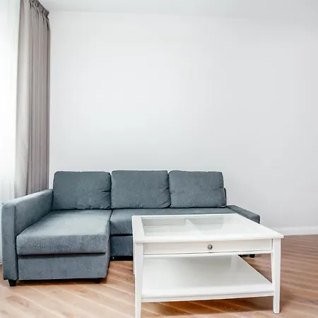 Luxury High Ceiling In The Heart Of Appartamento Klaipėda